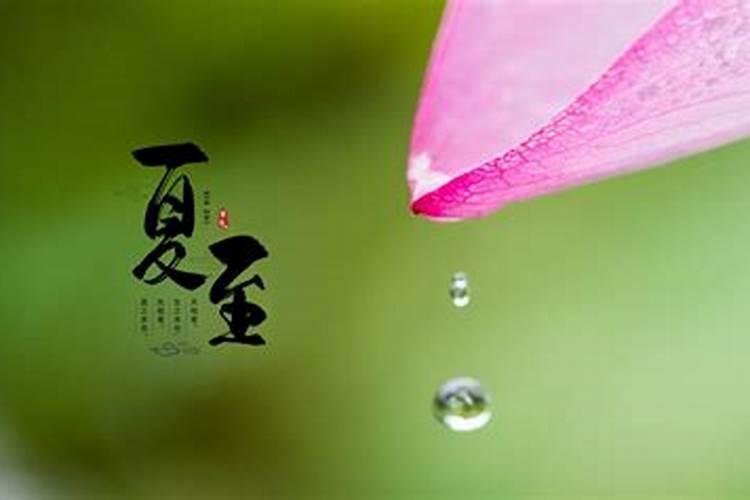 做什么能发财
