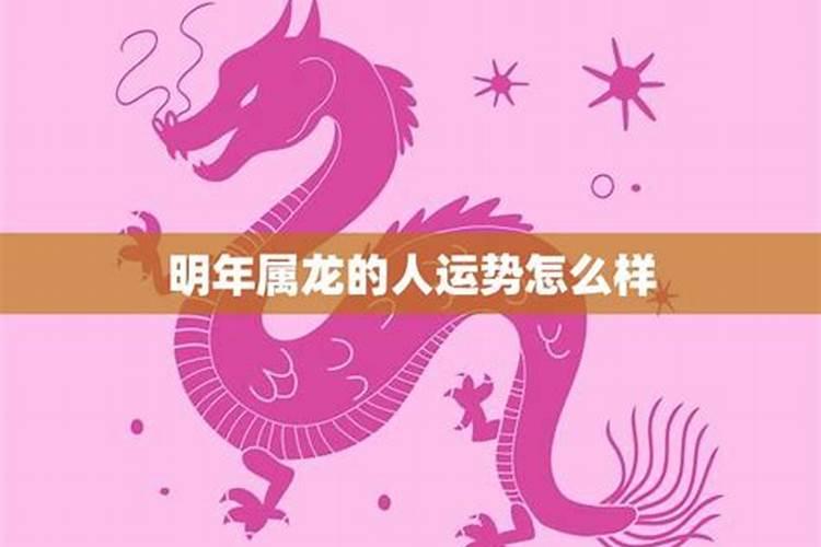 属龙人2025年犯太岁吗？