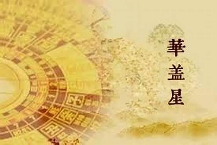 沈阳十五看灯去哪里