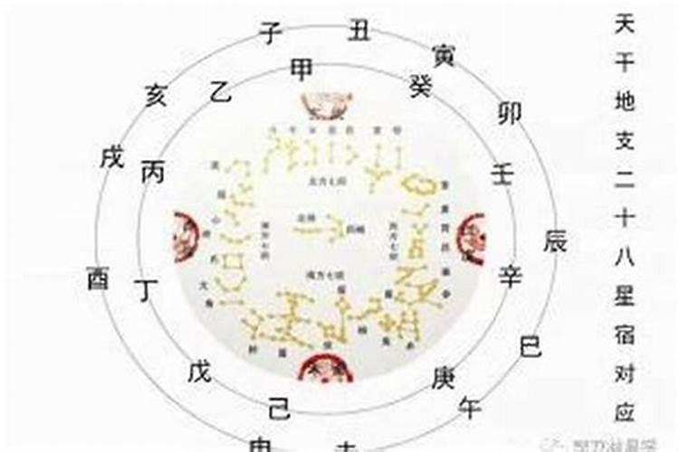 什么是男命财星被合？
