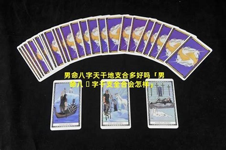 我的丈夫阴暗、算计、苛溥、小气又是个小人的男人,要怎样才能对付？