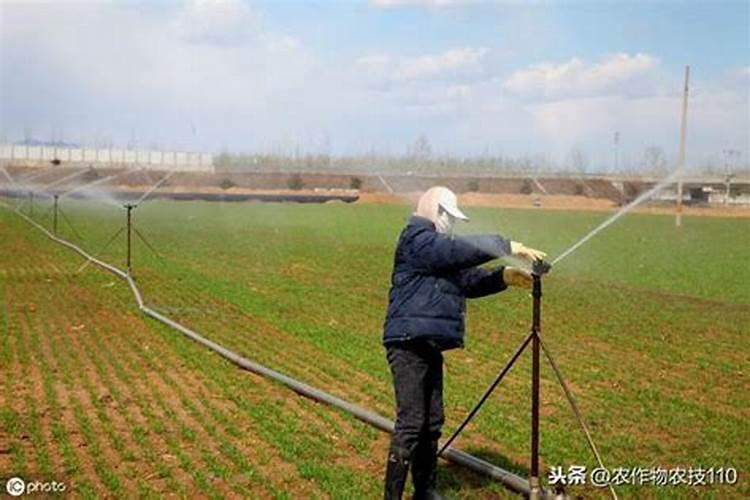 梦见儿子拉屎是什么意思