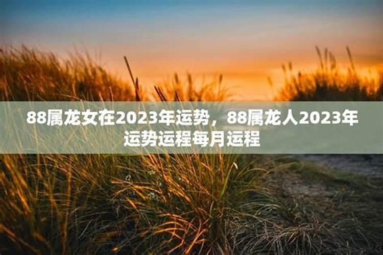 1988年属龙女2025年运势