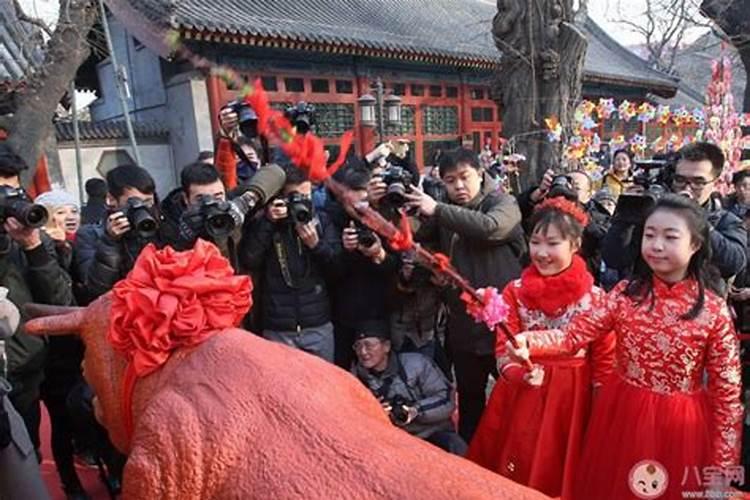 立春接福仪式怎样