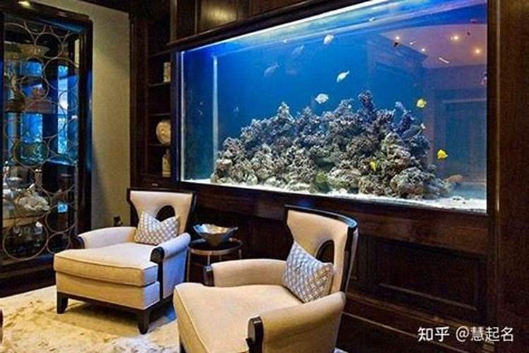 96年九月的鼠命运如何 9月属鼠人不一样时间出世的运势