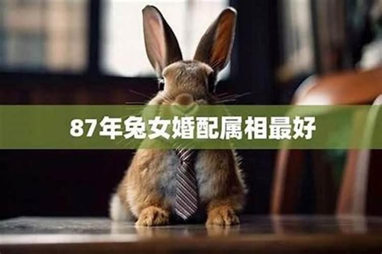 2025年12月20日黄历