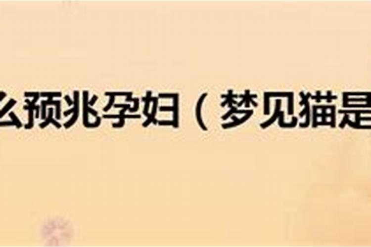 怀孕了梦见猫预示生男生女