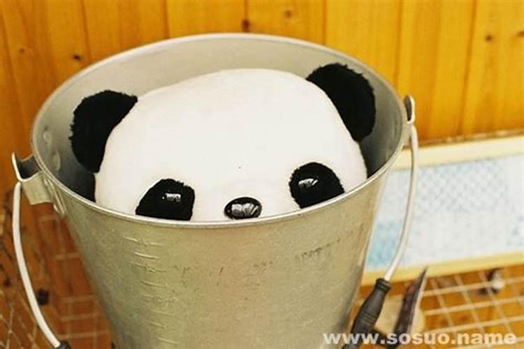 6个乙日出生人的性格解析及婚配日参考