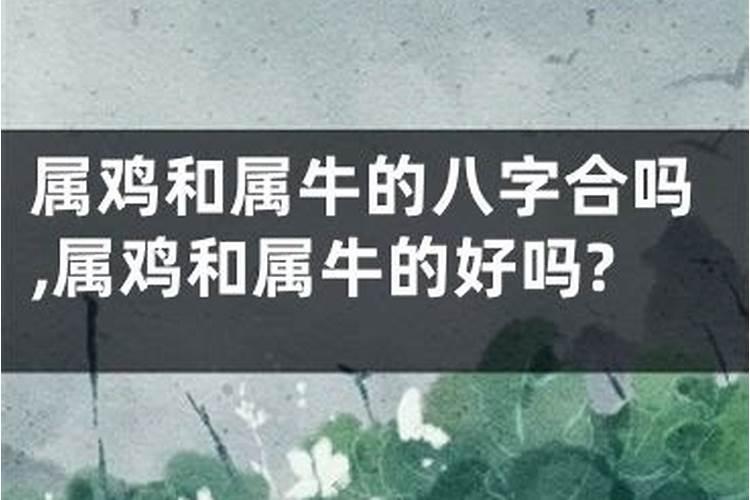 梦见牵着大黄牛在走