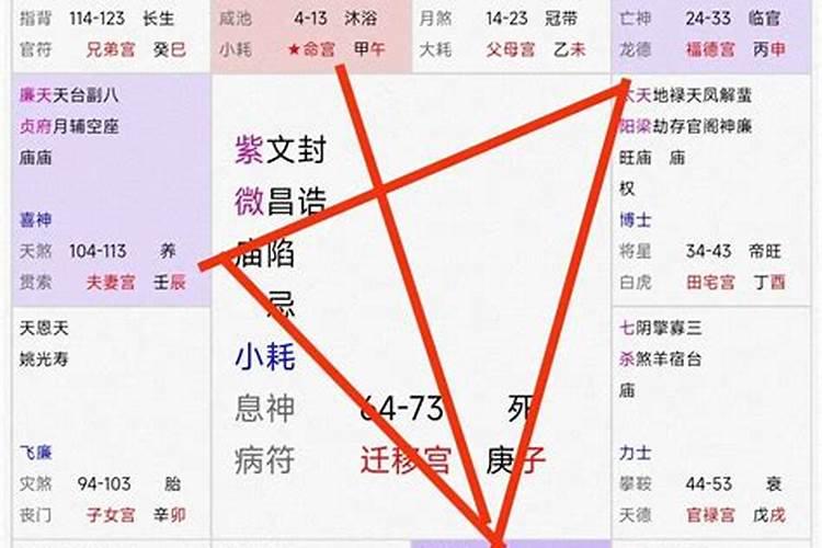 紫微斗数里“身主文昌”什么意思？