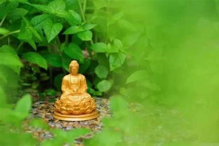 生辰八字害人破解方法