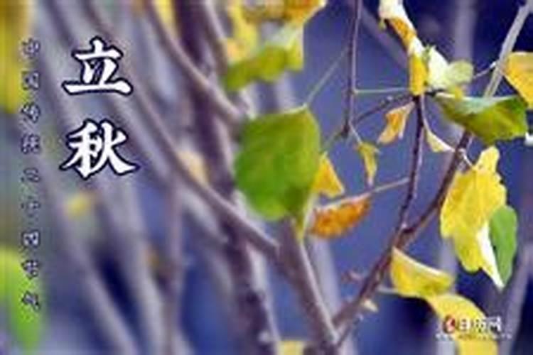 属兔2025年犯太岁吗？