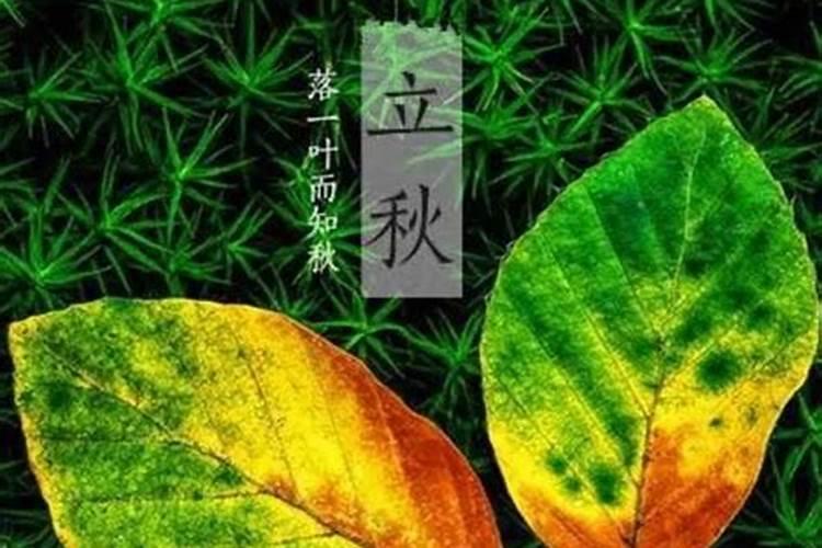 八字怎么看子女出生时间,四柱八字如何看子女信息？