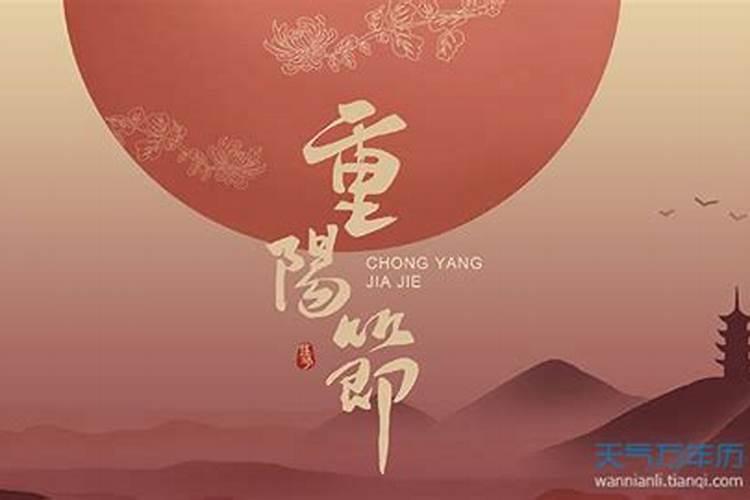 属兔人逢龙年运势如何？