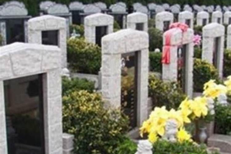 2025年属龙女人刑太岁是福是祸