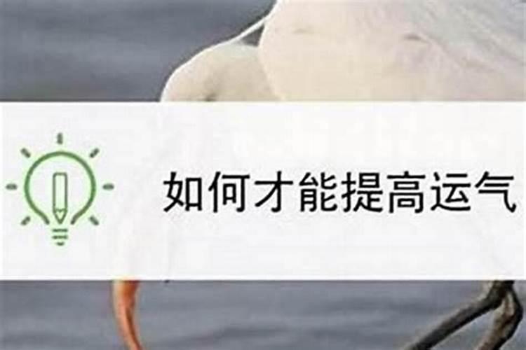 为什么冬至是一年中最重要的节气？