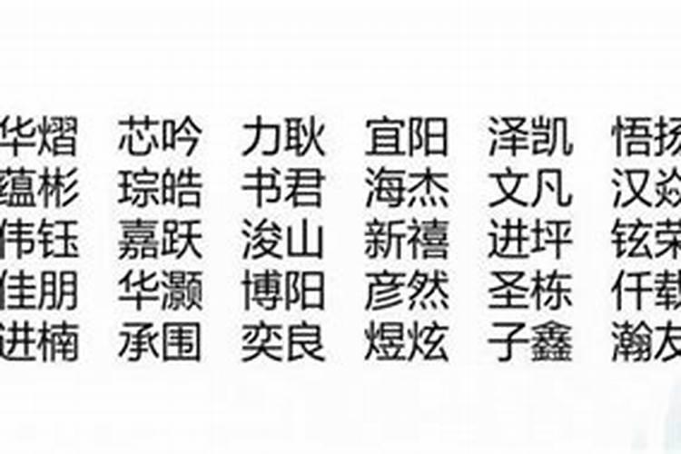 王姓男孩名字2025年属蛇 男孩起名寓意好的字