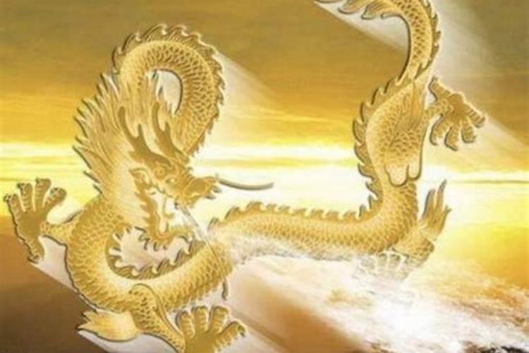 鸡和狗的属相合不合,父子鸡和狗的属相合不合