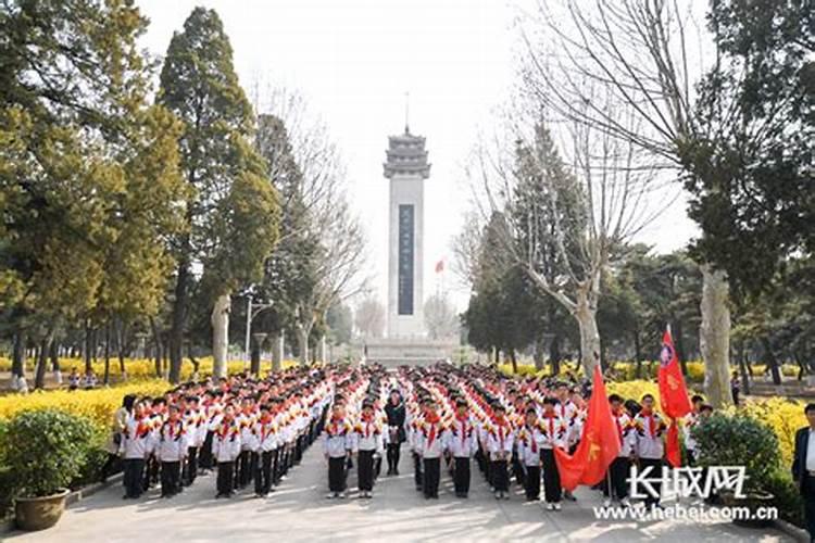 应征报名要求