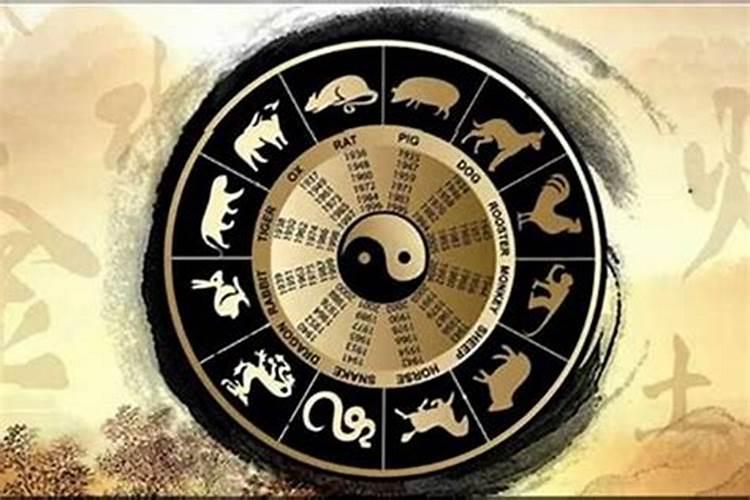 梦见眼镜蛇是什么预兆