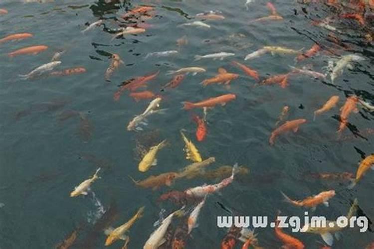 2025年各大卫视春晚播出时间