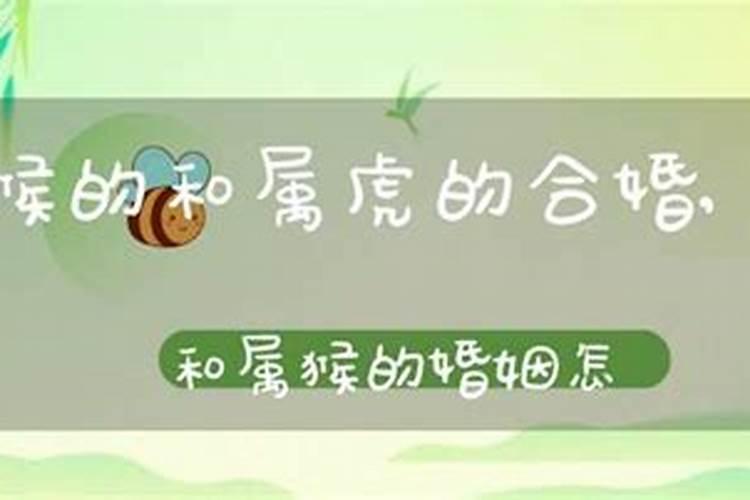 去霉运最灵的方法,盘点风水去霉运的小技巧