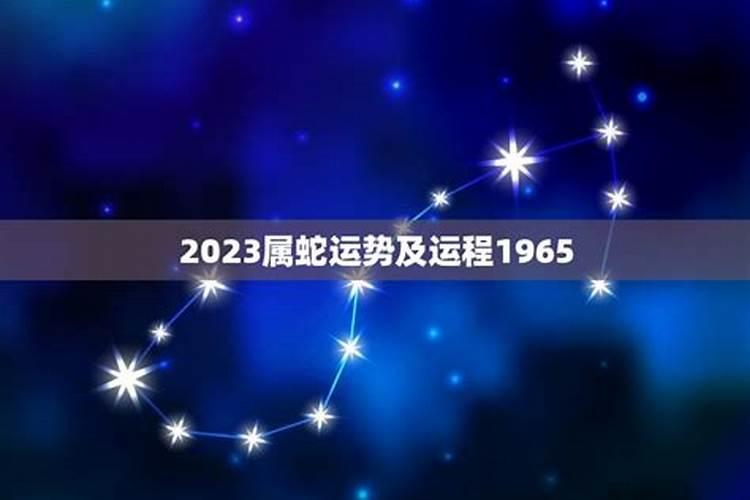生肖蛇1965年2025年运势如何 生肖蛇1965年2025年全年运势