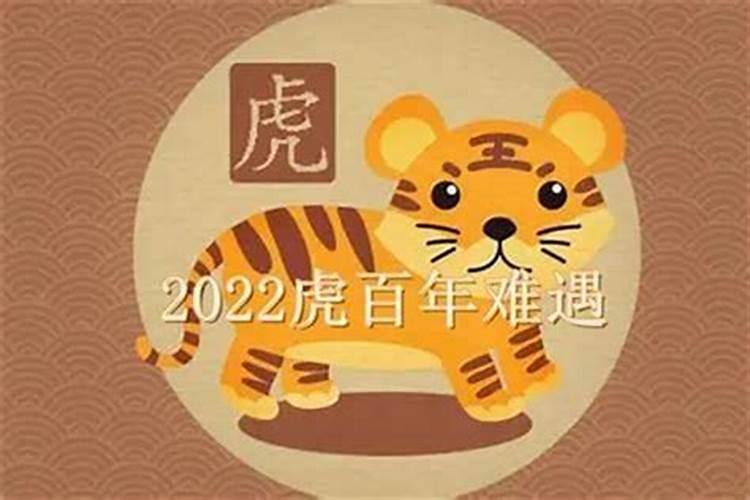 属蛇的和什么属相最配和相克？