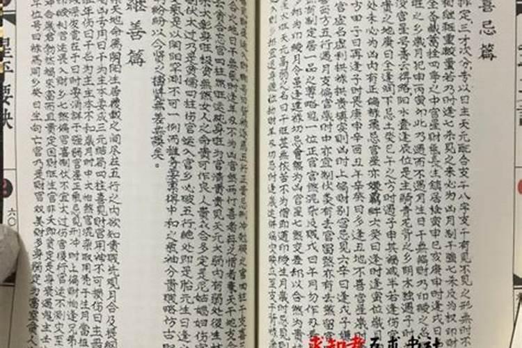声生不息2025播出时间