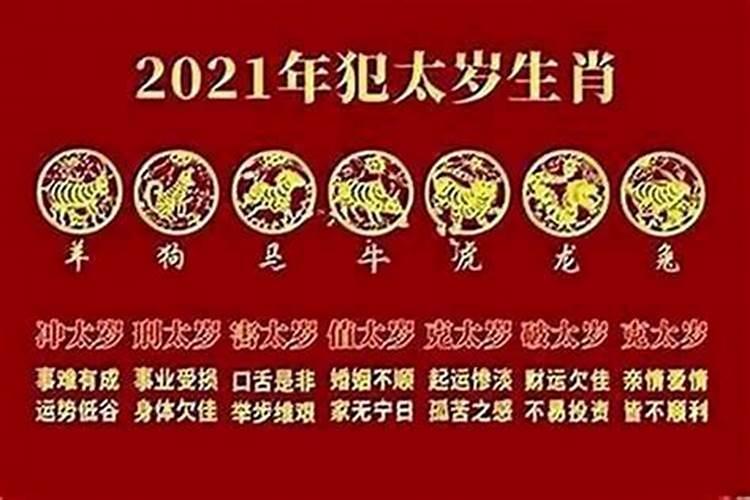 2025年属蛇什么命