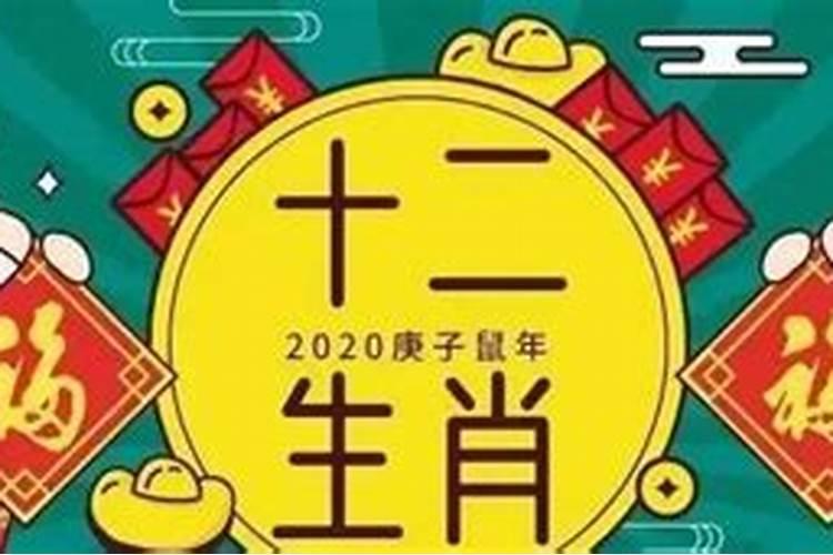 明年五行属什么命,鼠五行属性