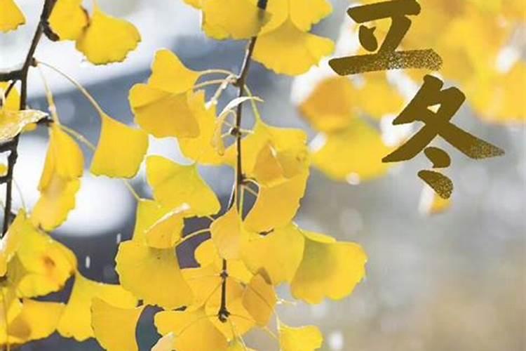 属龙的人2025年的命运