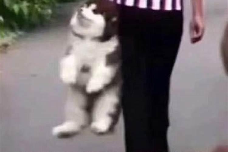 天上火命的人是“童子命”吗？