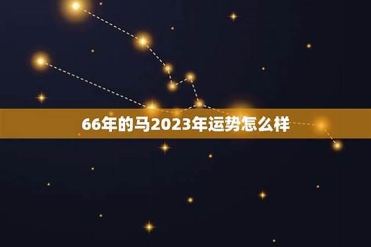66年属马的2025年运势怎么样
