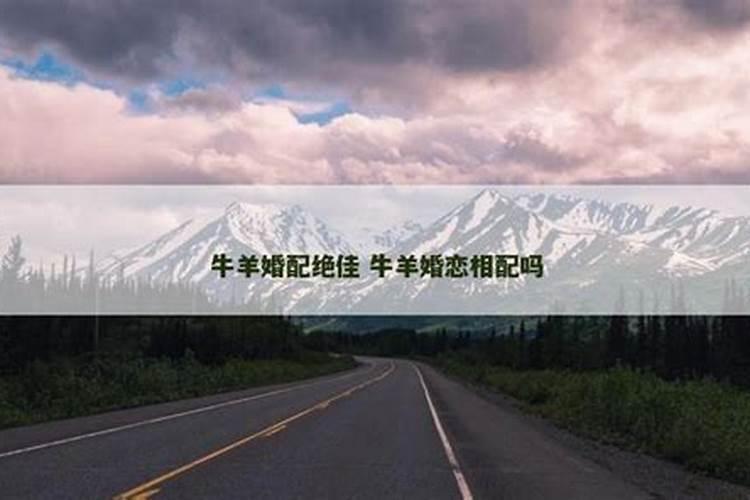 牛羊婚配绝佳吗 如何化解不利？