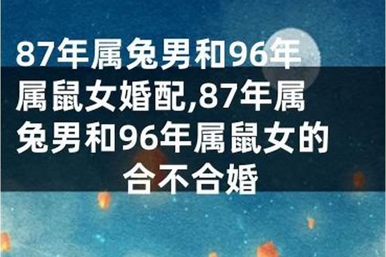 1975年腊月生的兔命运如何,1975年属兔的人是什么命