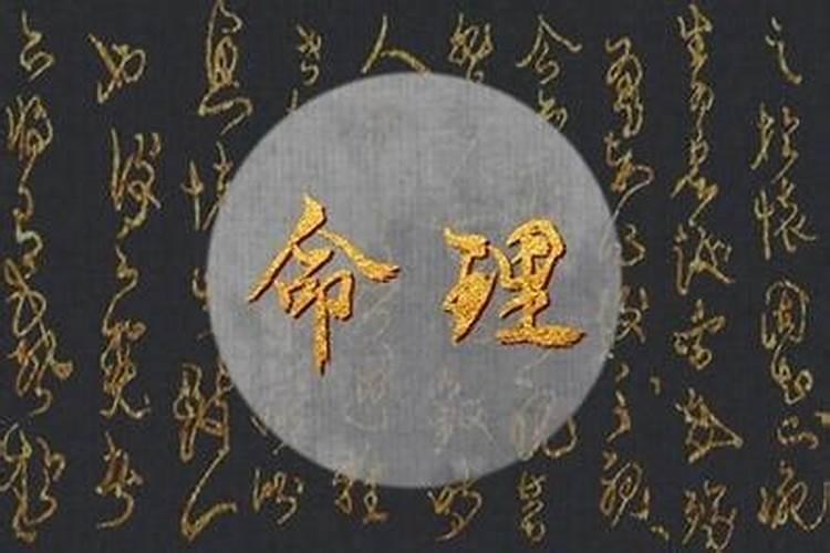 梦见吃虫子是什么意思女性