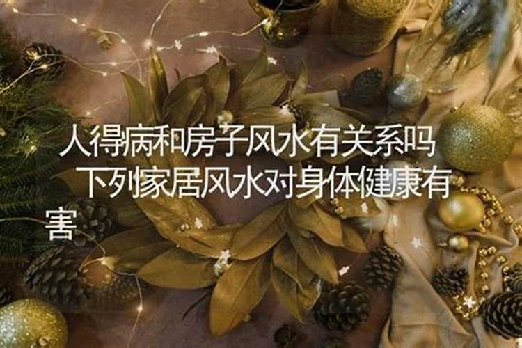 一九七一年农历九月初六亥时生人一生运势如何