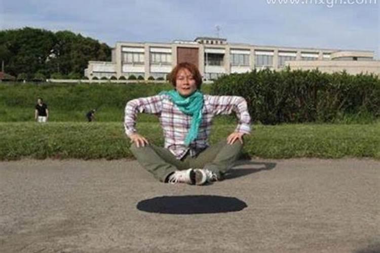 二婚属羊和属猪的适合做夫妻吗 属羊属猪的婚姻好不好