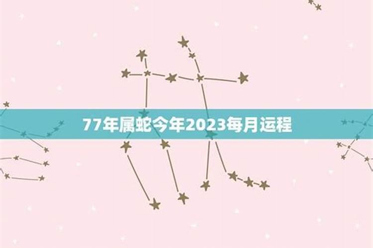 正月十五适合吃什么馅的饺子
