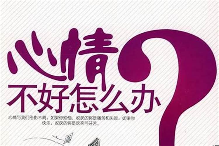 属猪人2025年全年运势及运程