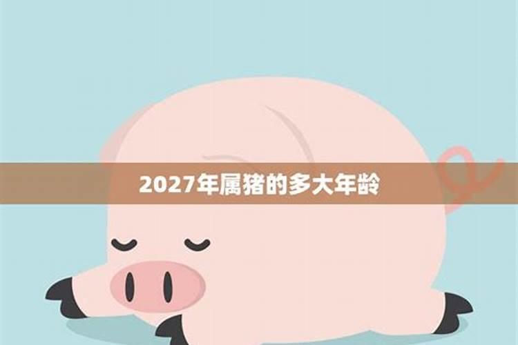 属猪2025年感情运势