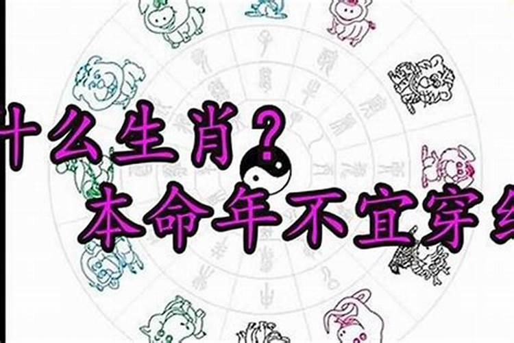 属虎的人6月出生运势 属虎人几月出生命最好