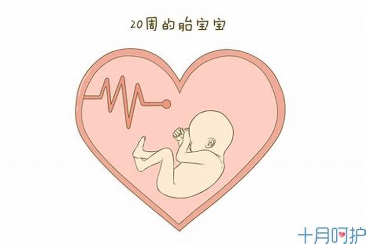 几个月不能打胎