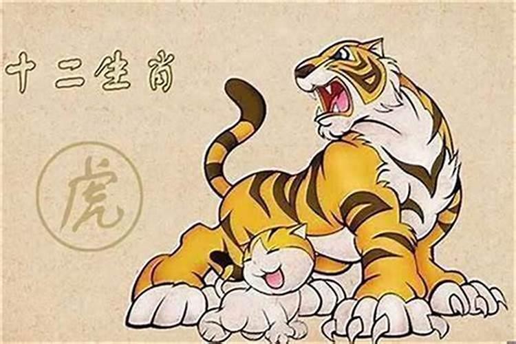 1977年属蛇女士[48岁]2025年运势全解析,月月带来成功的秘诀