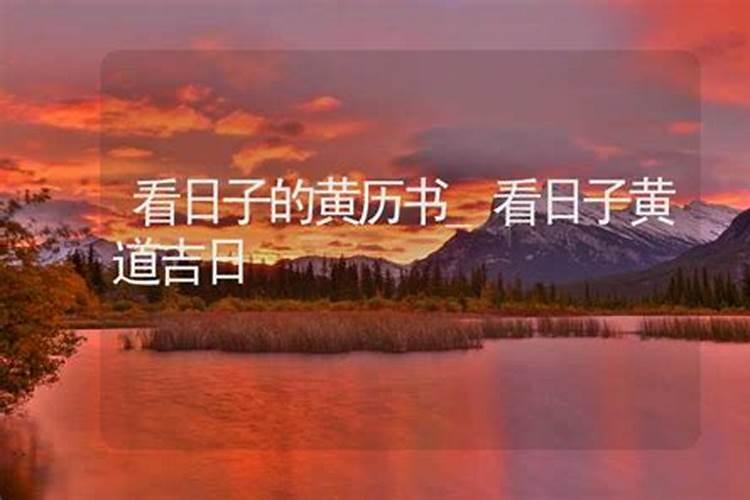 2025年属蛇运势及运程