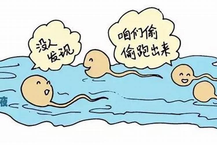 冬至哪些地方吃汤圆 冬至为啥要吃汤圆