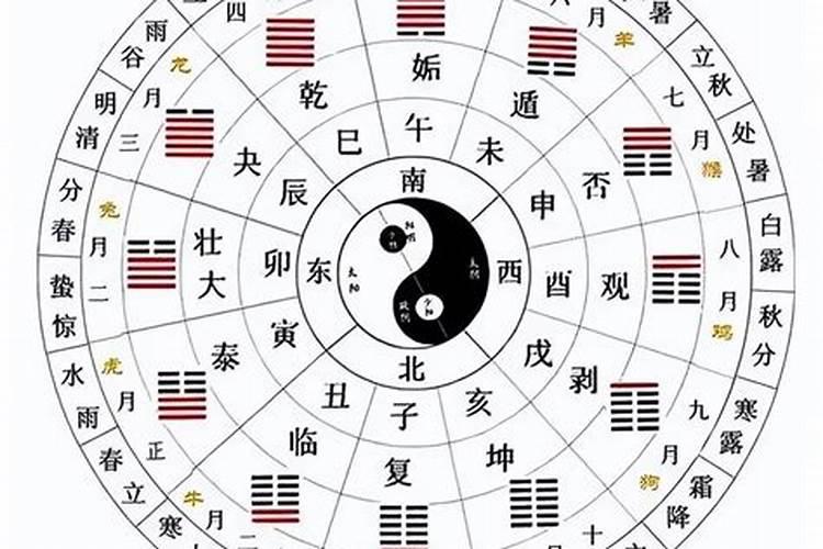 梦见松鼠是什么预兆