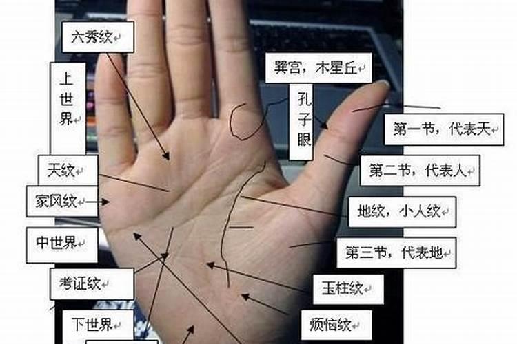 八字哪个看事业