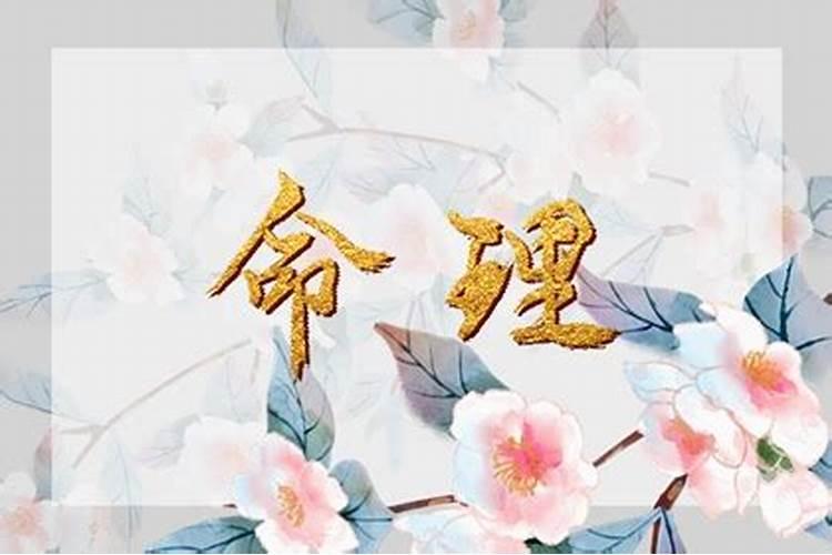 198811月24出生年属龙是什么命？